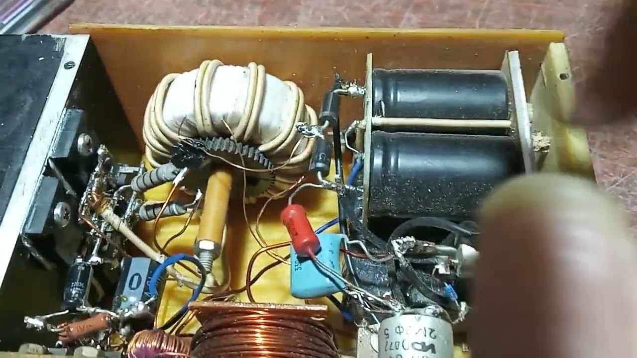 Бессмертный котёнок