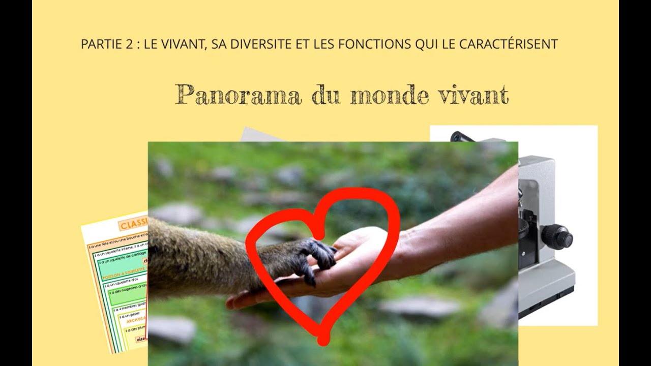 6&egrave;me - Panorama du monde vivant