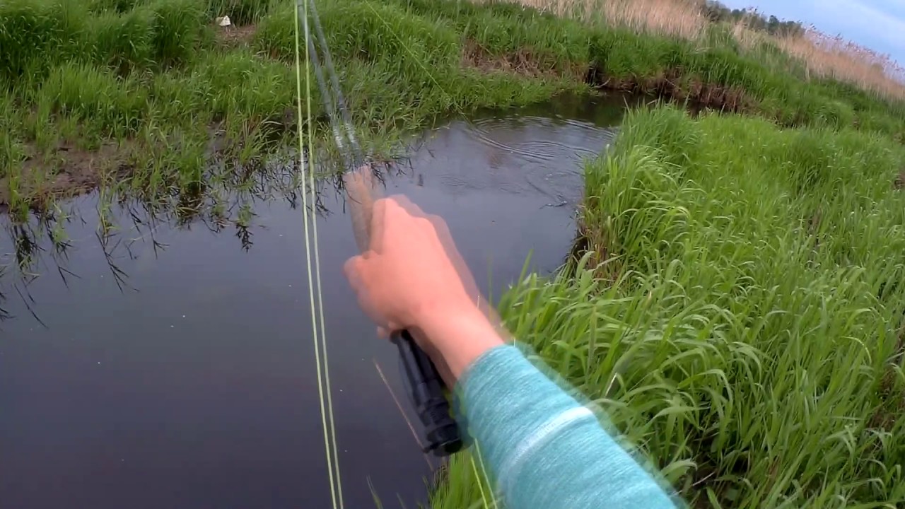 Muchowe #1 | Jętka majowa i pierwszy w życiu pstrąg na muchę