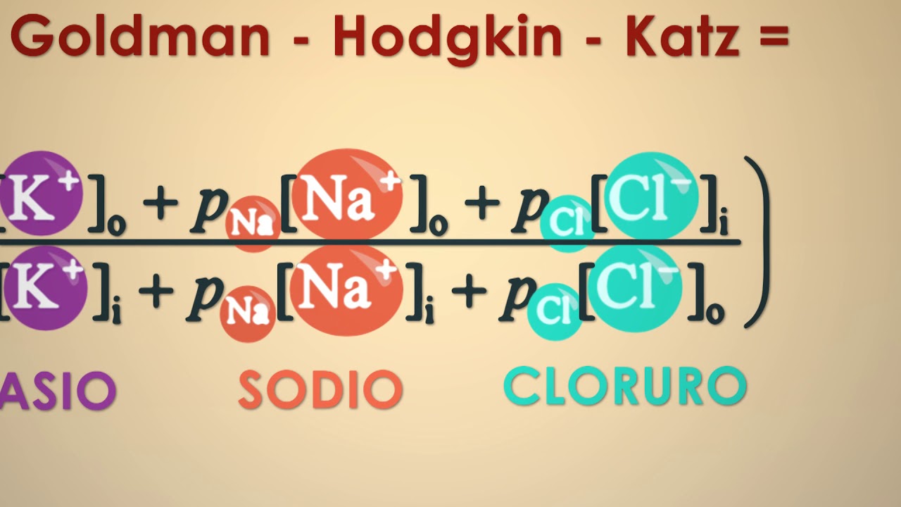 FISIOLOGÍA:  Electrofisiología General