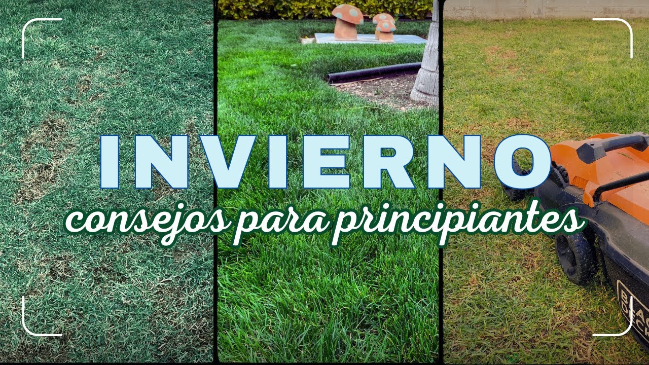 ❤️ Cómo CUIDAR tu Césped durante el INVIERNO ❄️