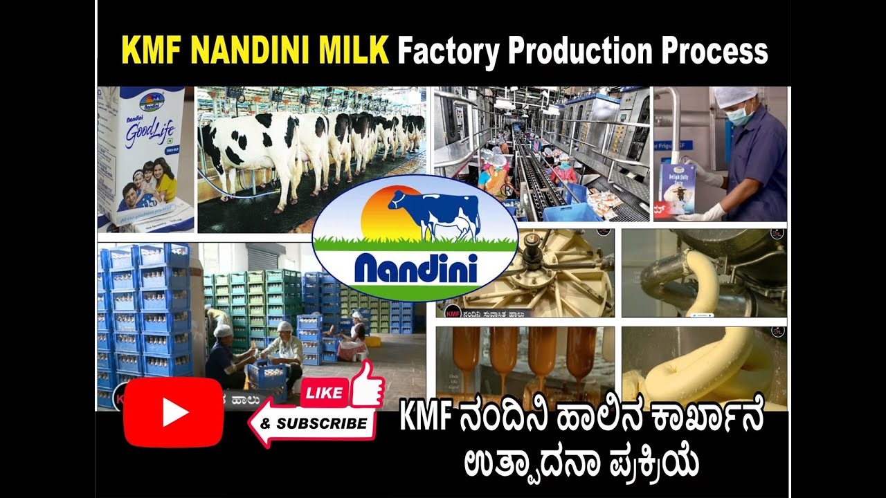 KMF ನಂದಿನಿ ಹಾಲಿನ ಕಾರ್ಖಾನೆ ಉತ್ಪಾದನಾ ಪ್ರಕ್ರಿಯೆ..KMF Nandini Milk Factory Production Process🐄🥛