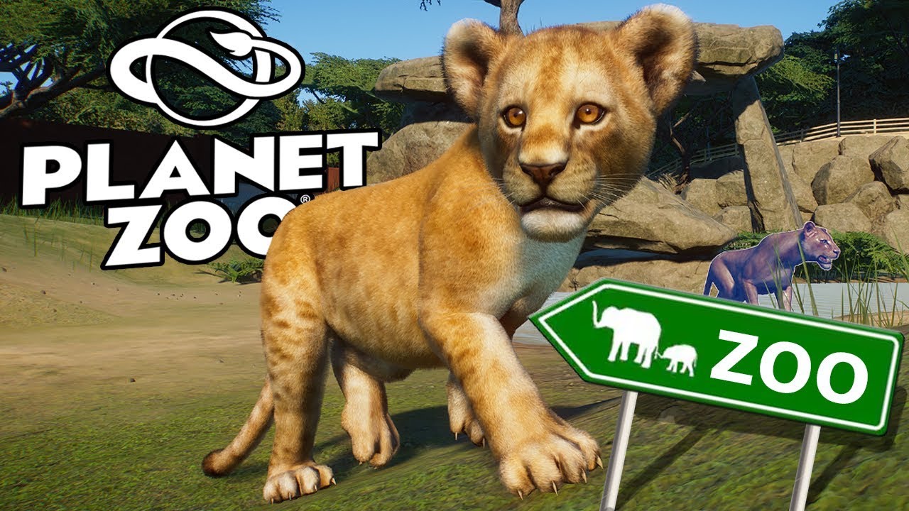 BUDUJEMY WŁASNE ZOO - Planet Zoo