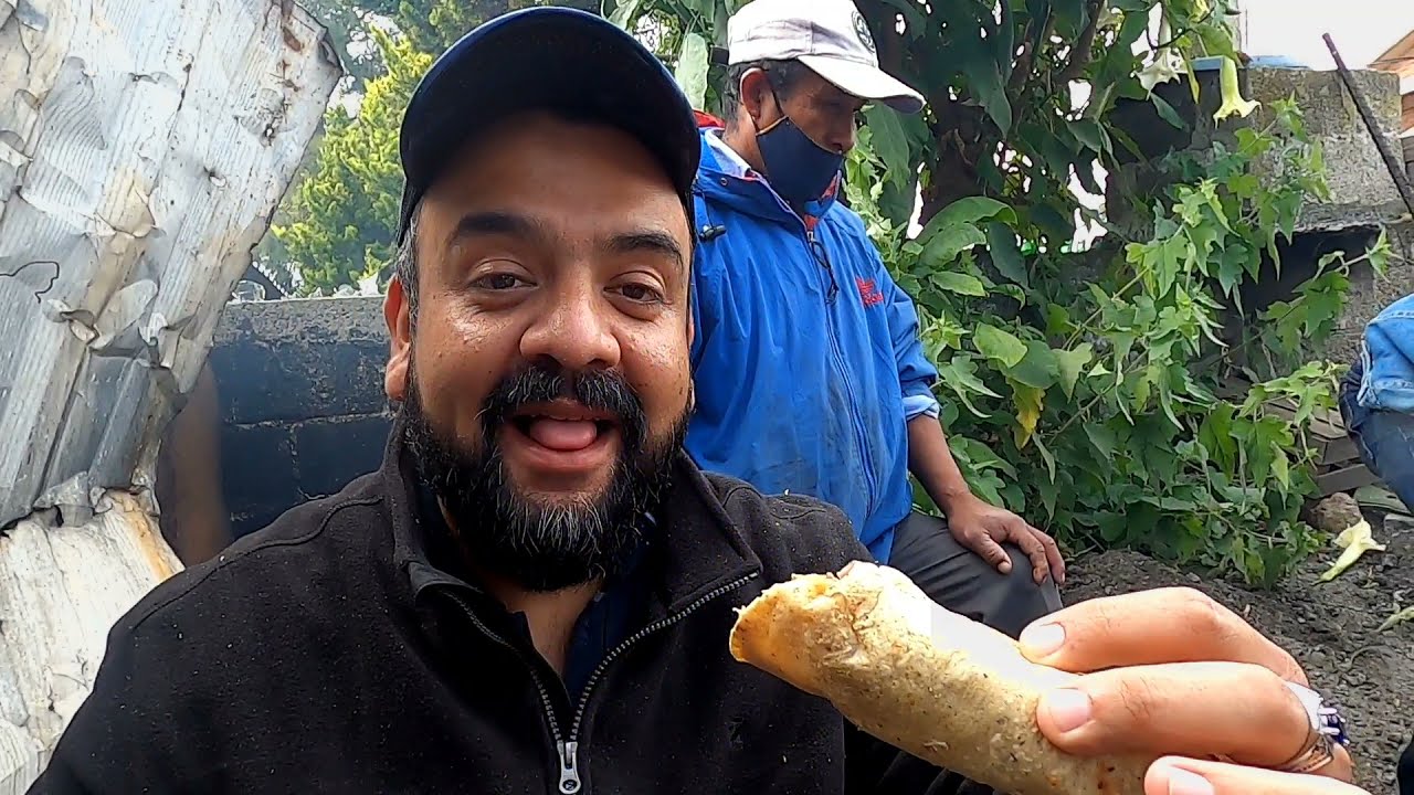 Quieres una chinchilla? aquatecnologicos te dice como