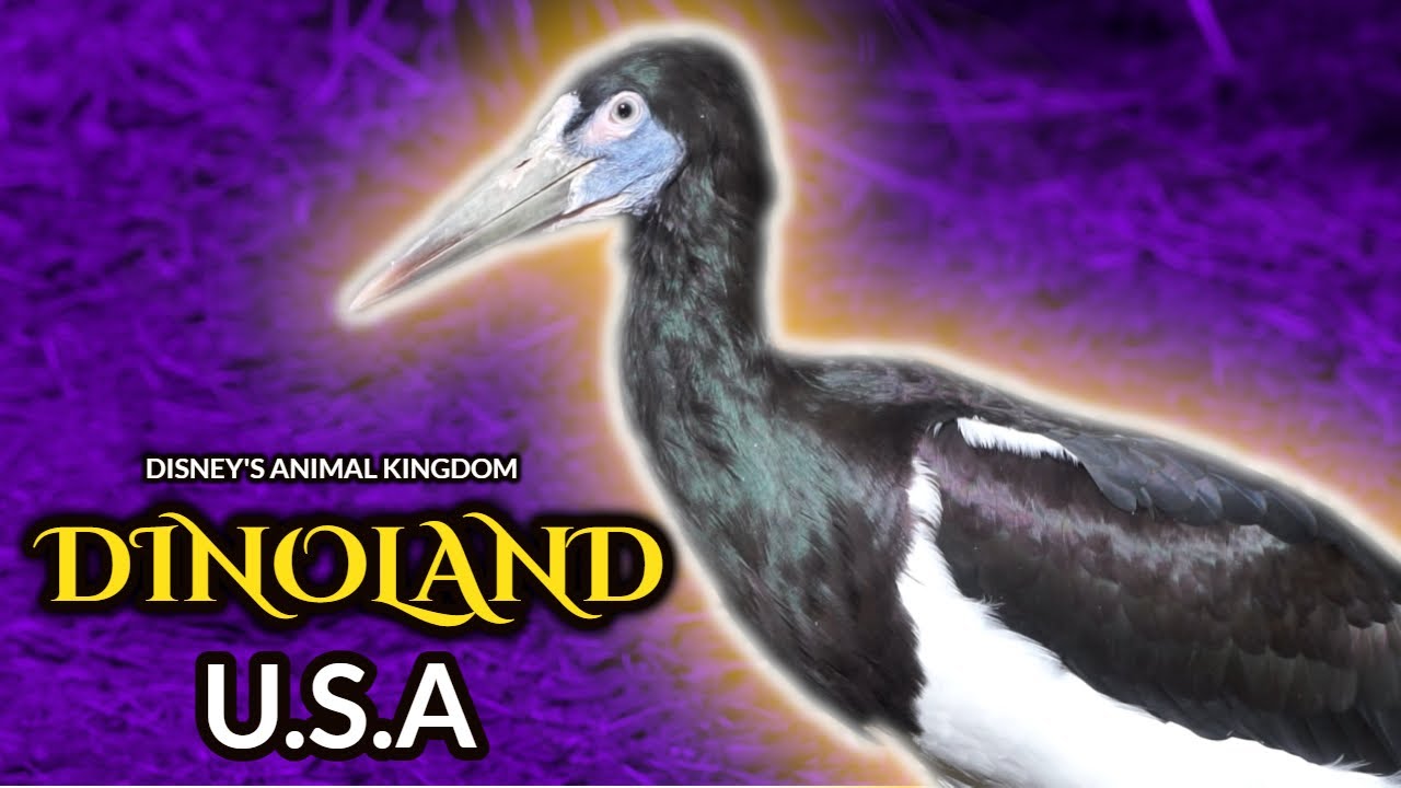 DinoLand U.S.A | Disney's Animal Kingdom