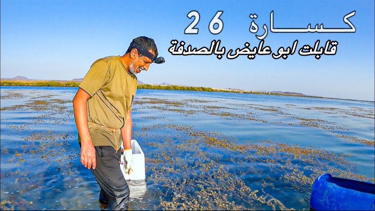يامحلا الصدف وأخيرا تقابلنا بكساره😅