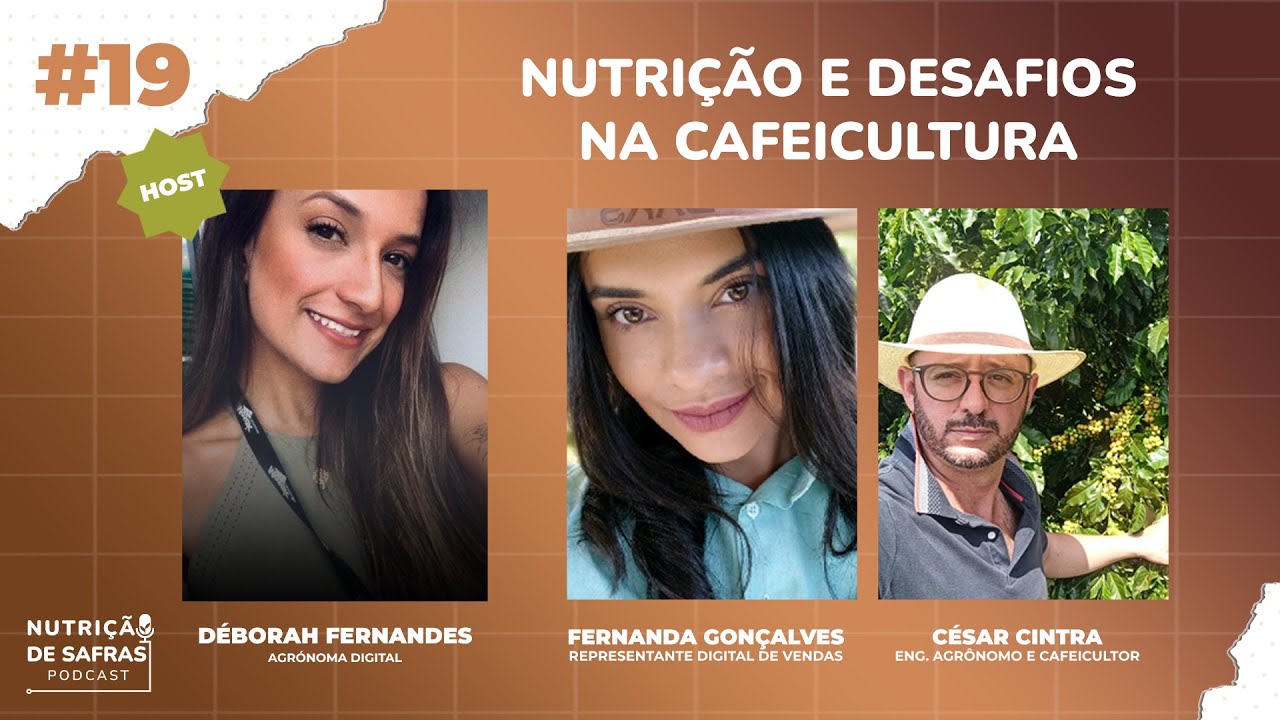 Nutrição e desafios na cafeicultura