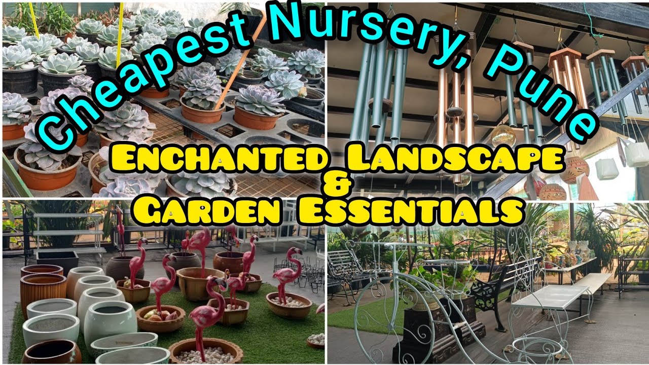 Pune Nursery Visit|Indoor plants|Outdoor Plants|ceramic pots|Garden essentials|Cheapest Nursery#pune