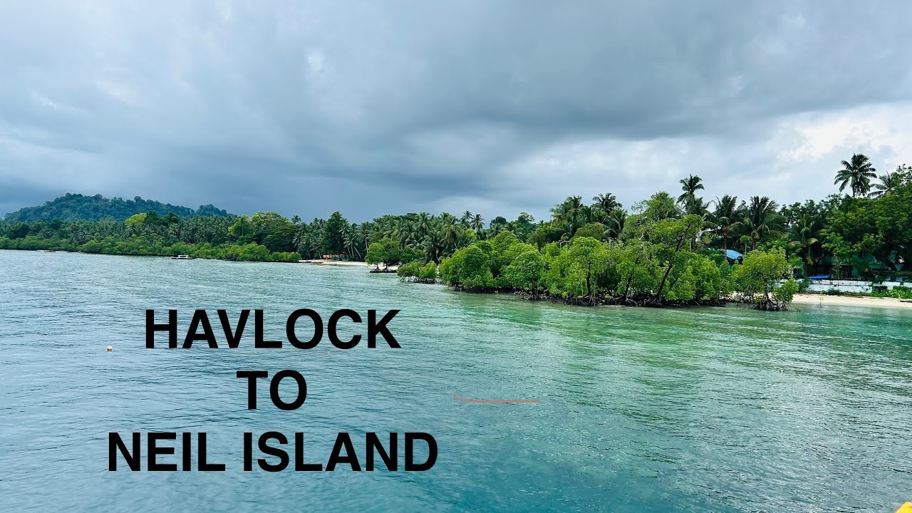 Journey from havelock to neil island #entertainment #travel #tour #beach #andaman #nature 
