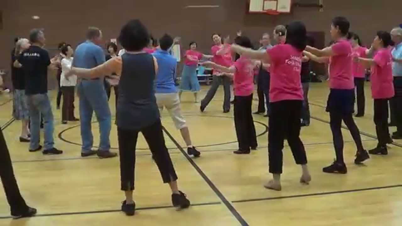 HAGAN HABIL'ADI Secret Garden Israeli Circle Dance @ 2014 Seattle Folk Dance Workshop with Ira Weisb