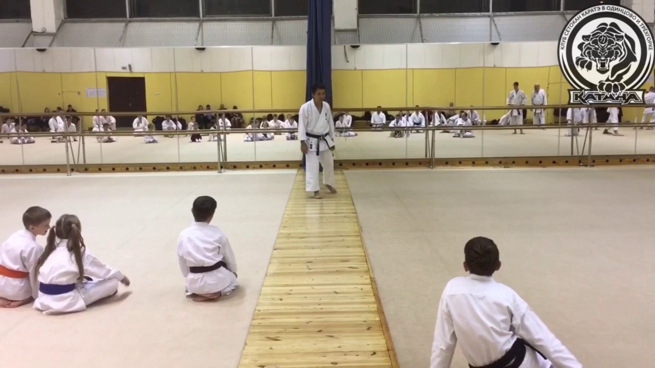 RTKF. Masao Kawasoe. 2016 JKA Moscow seminar.