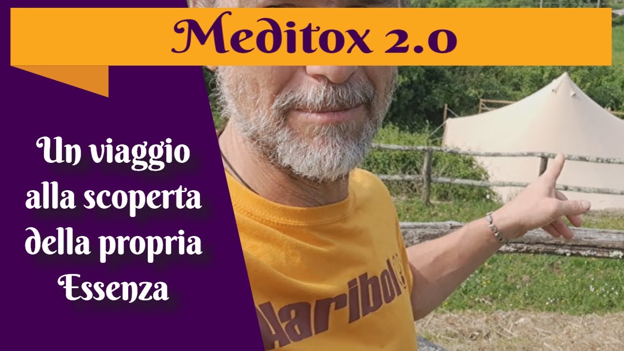 Meditox 2 0