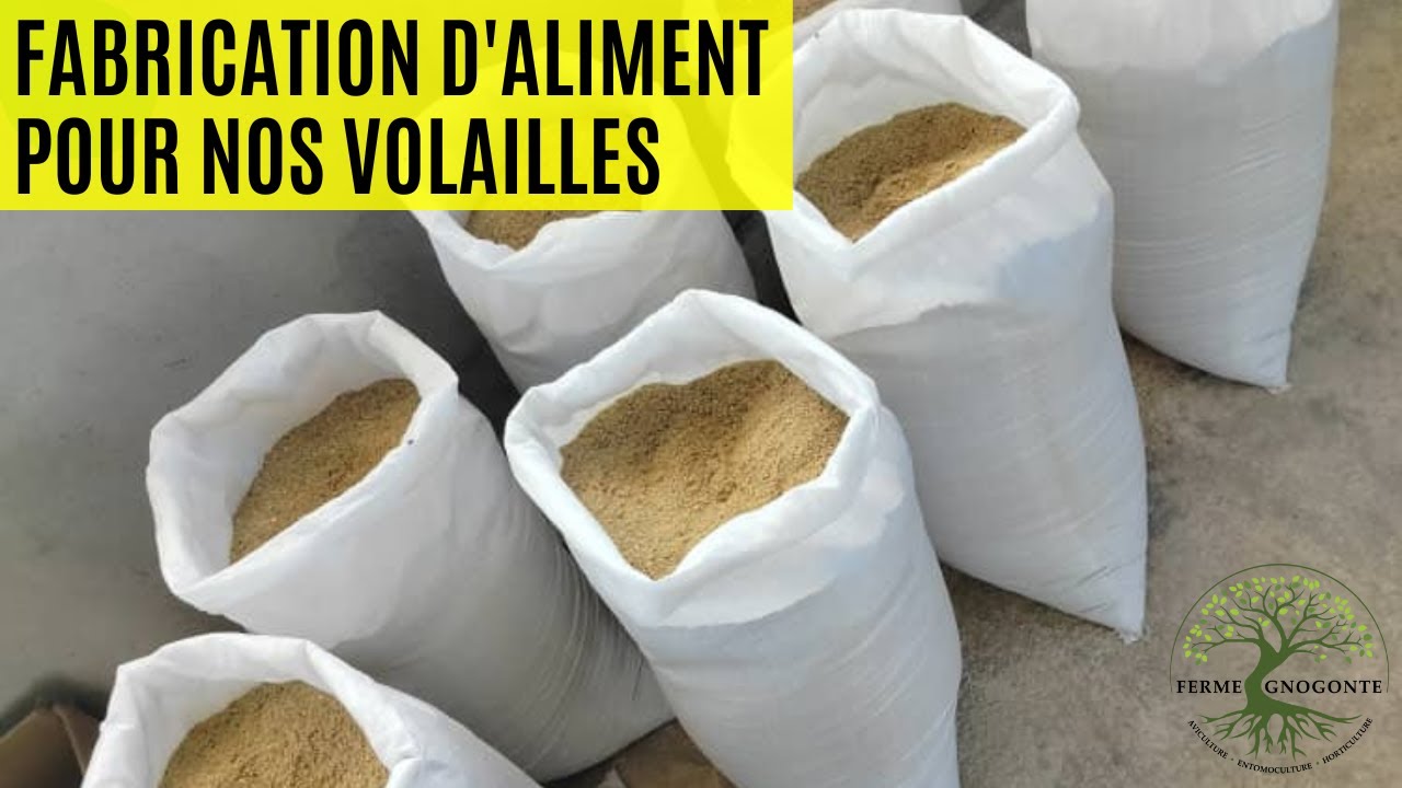 Fabrication d'aliment pour volaille &agrave; la ferme Gnogonte