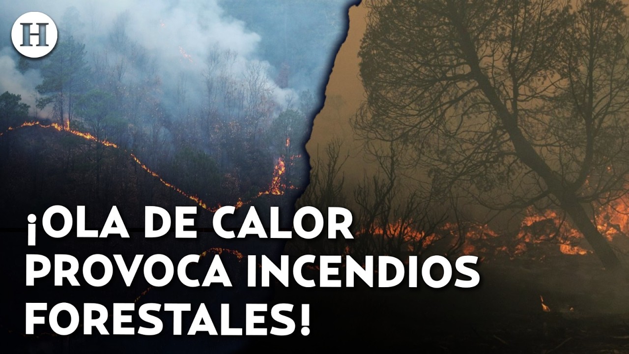 &iexcl;Inicia la temporada de incendios forestales en CDMX! &iquest;Qu&eacute; alcald&iacute;as tienen m&aacute;s riesgo de sufrirlos?
