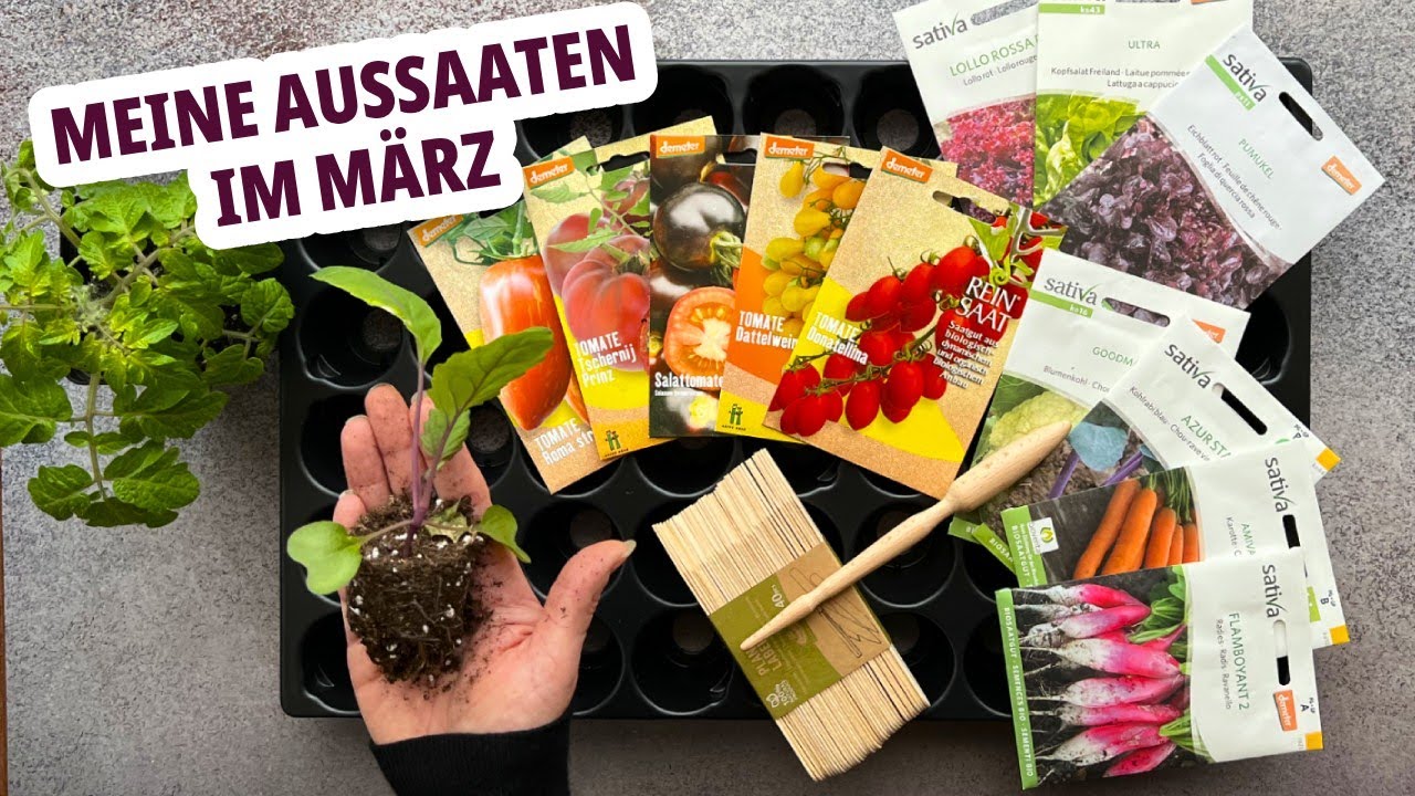 Was kann man im März aussäen und pflanzen? Meine Aussaat-Tipps fürs Frühjahr