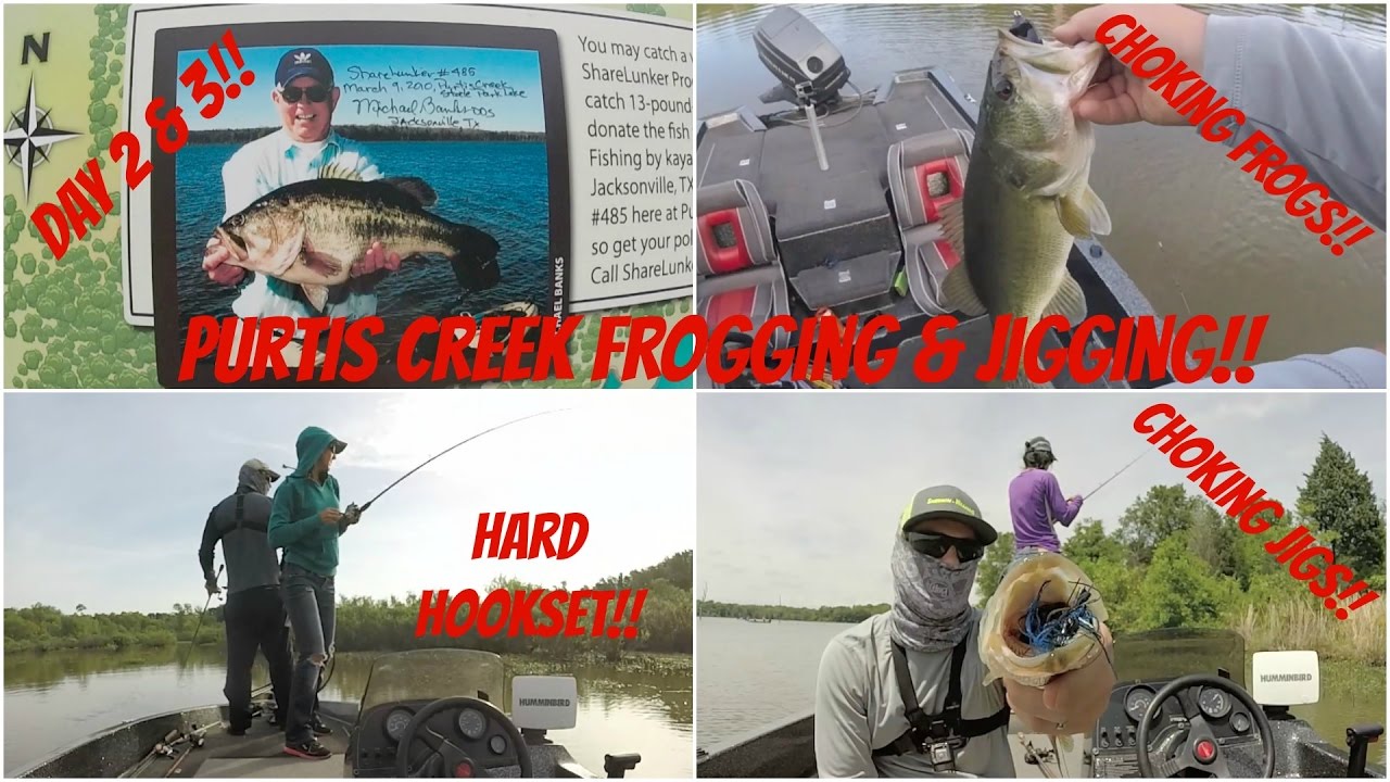 Purtis Creek Day 2 & 3 Frogging and Jigging!
