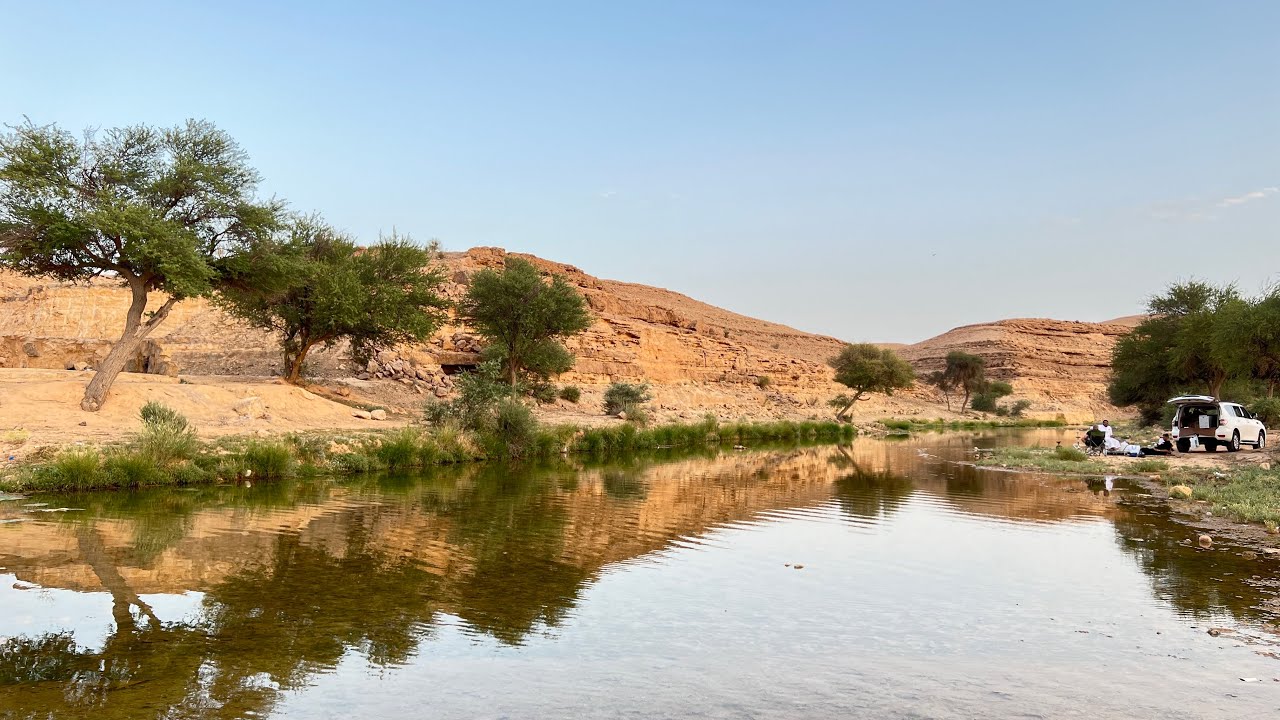 كشتة في شعيب دقلة