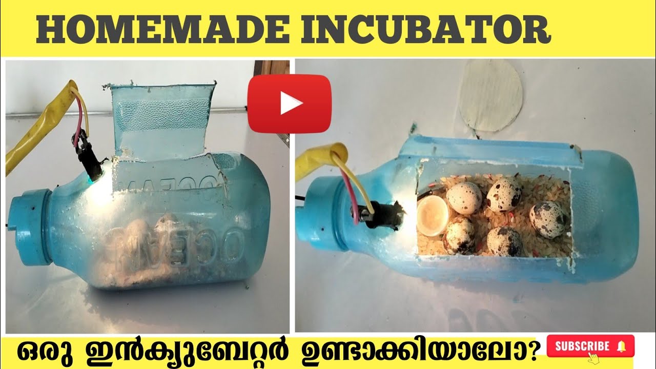 Home made incubator