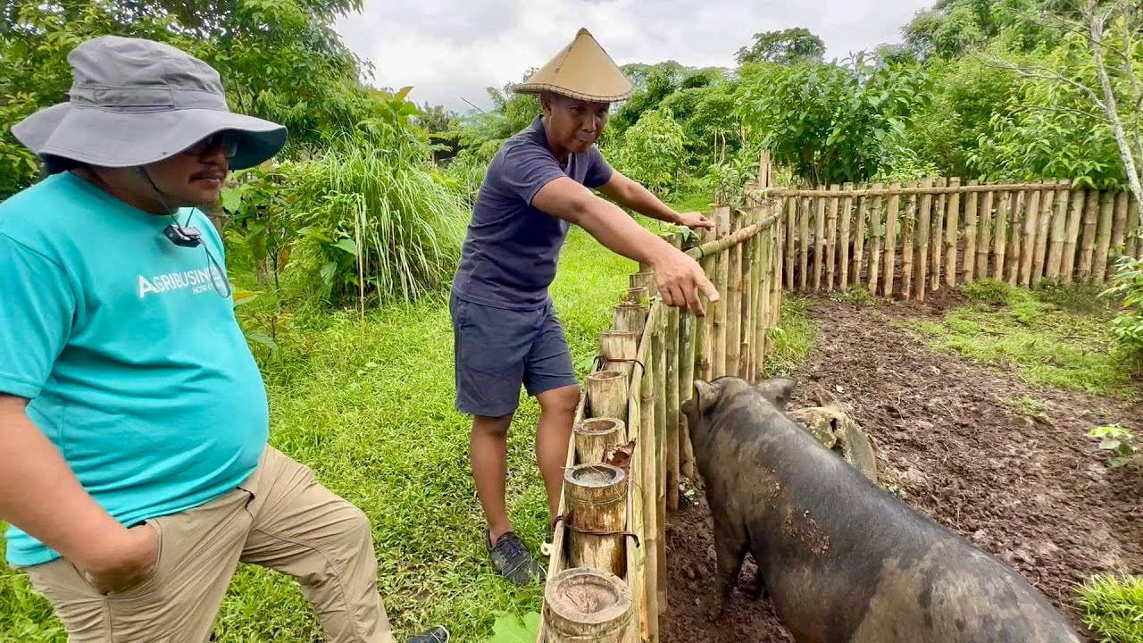 The Exciting Future of Permaculture: Challenges at Opportunities para sa mga Small Farms