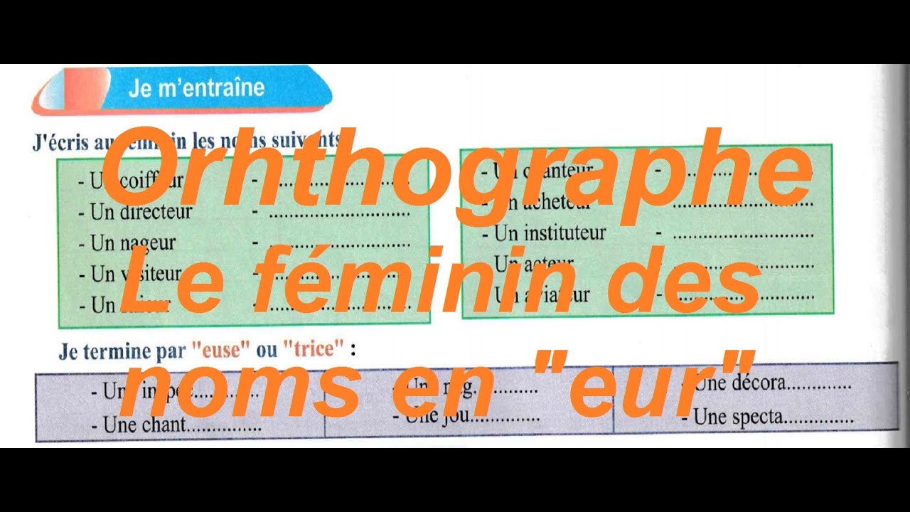 Le féminin des noms en 