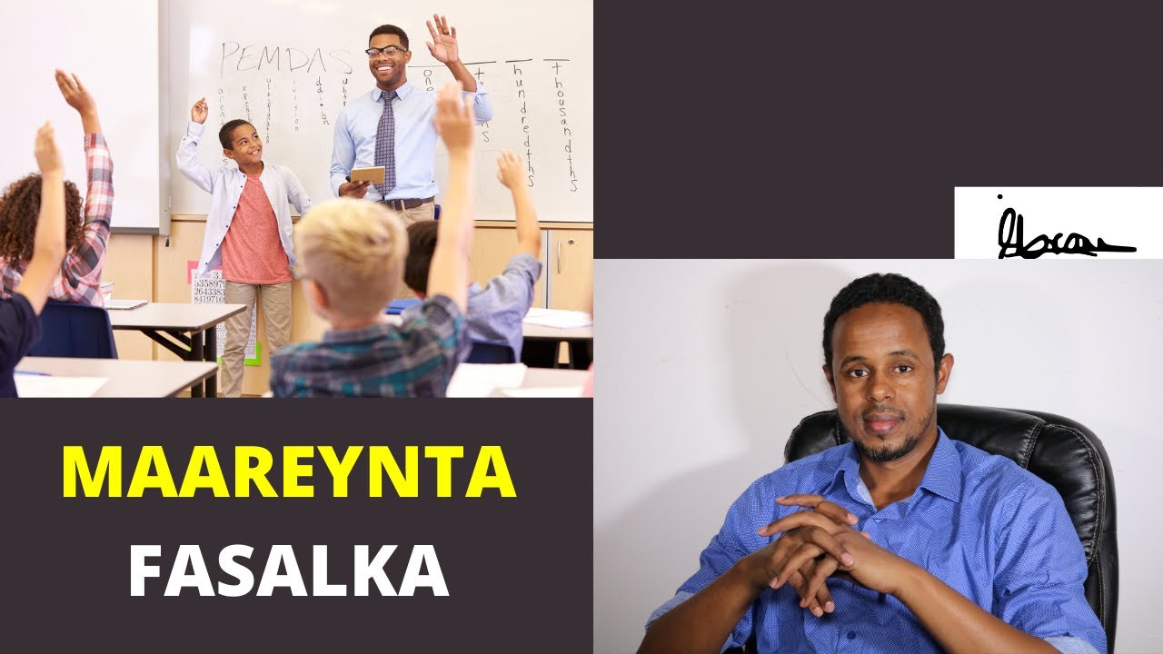 MAAREYNTA FASALKA