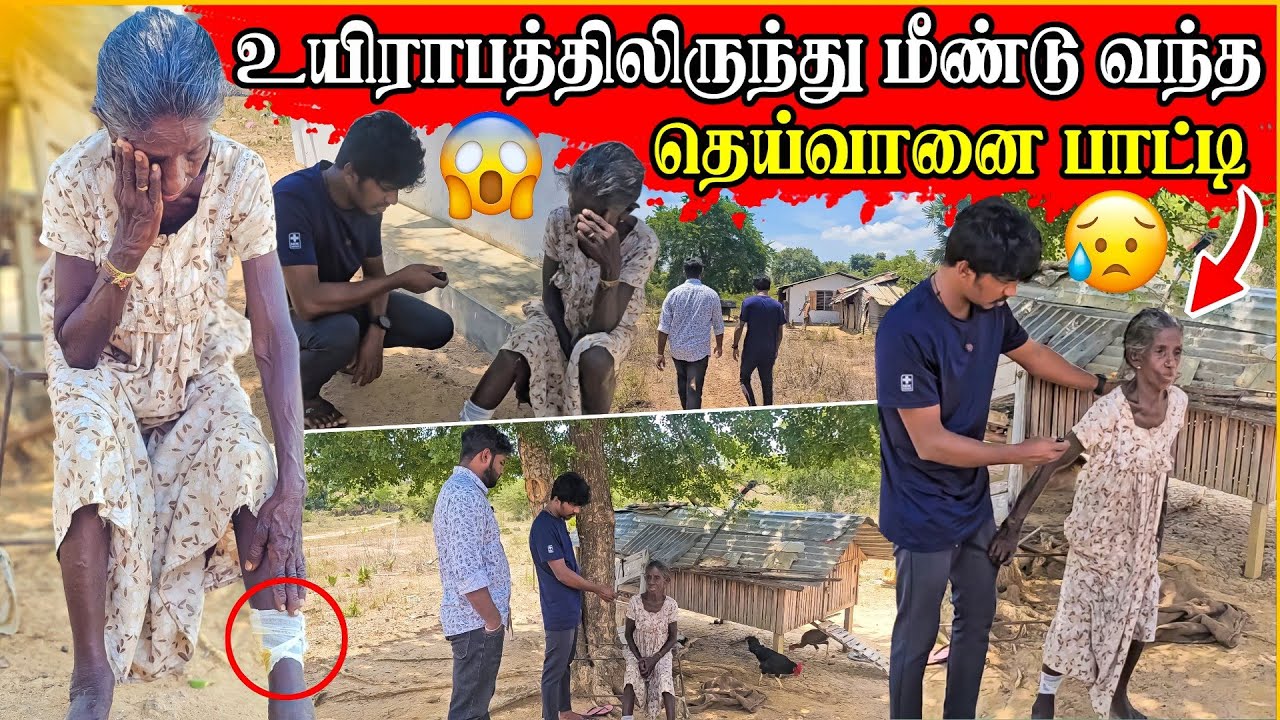தெய்வானை பாட்டிக்கு வந்த நிலை 😥 | சற்றும் எதிர்பார்க்கவில்லை | Rj Tamizha