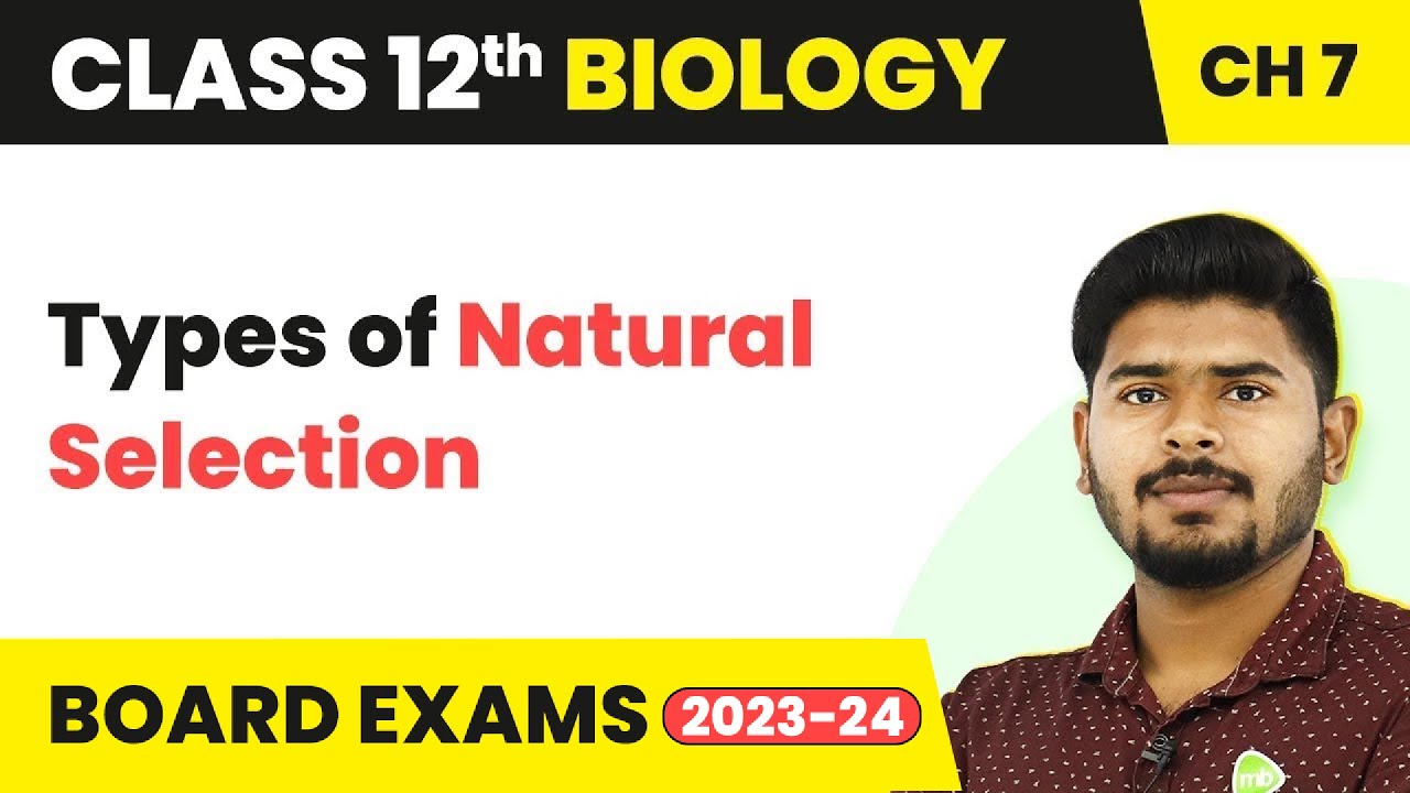 Class 12 Biology Chapter 7 | Types of Natural Selection - Evolution (2022-23)