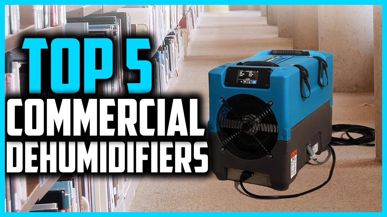 ✅ Top 5 Best Commercial Dehumidifiers in 2025