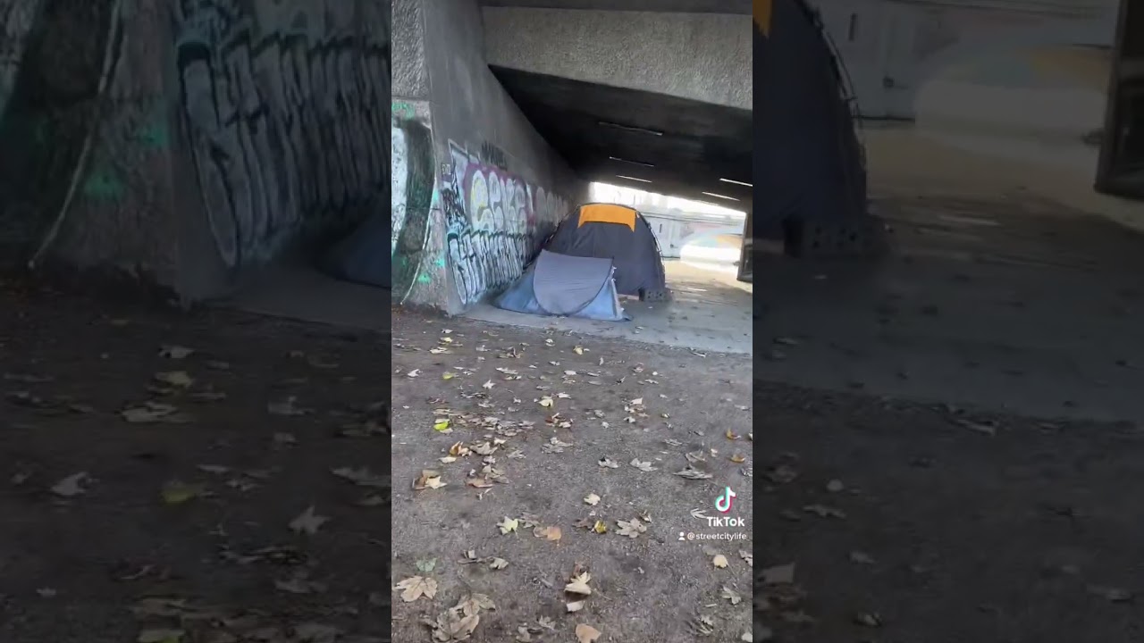 Alster Obdachlose leben im Zelt ⛺️