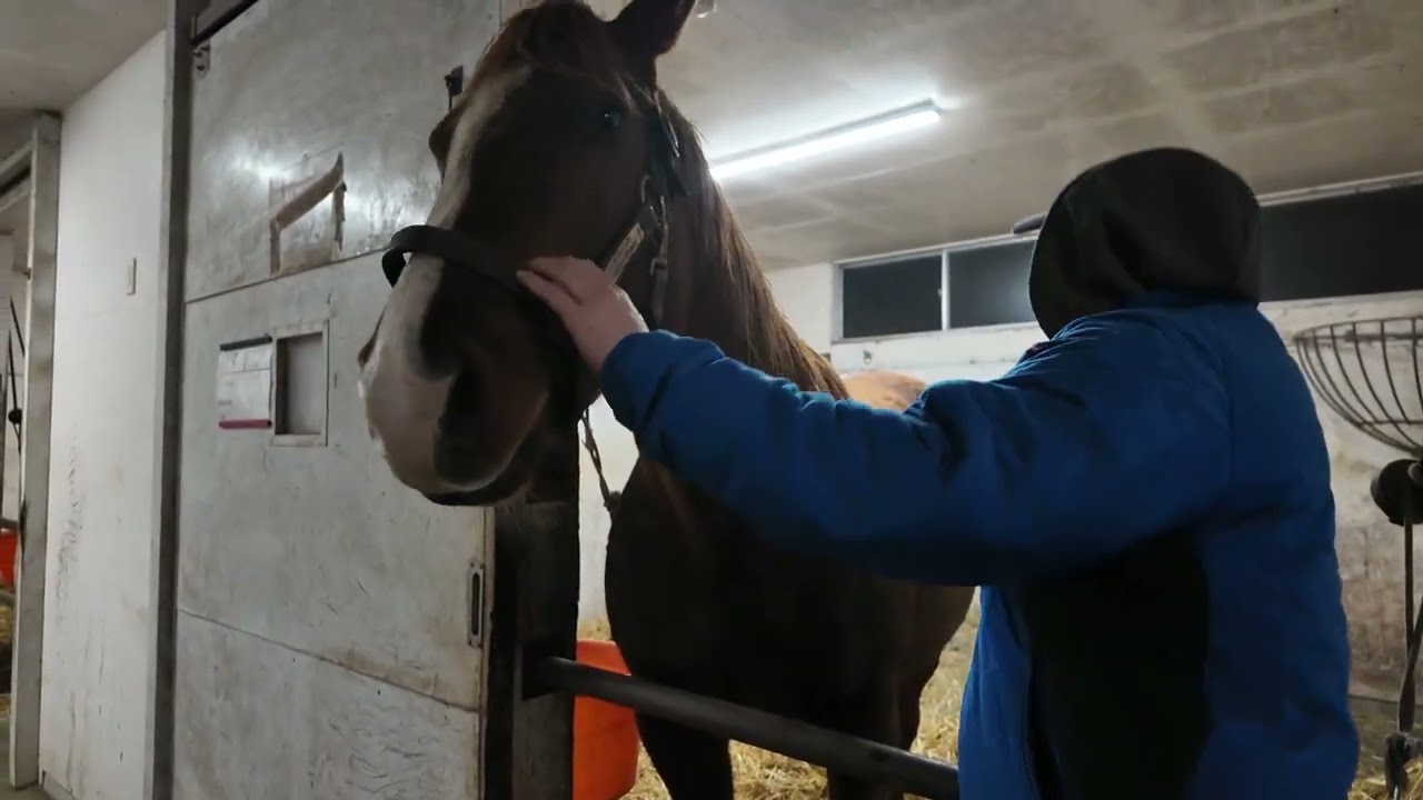 繁殖牝馬のコンディション＃638