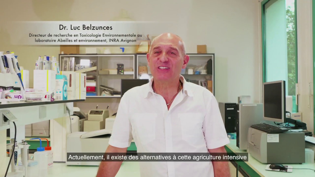 Pesticides & déclin des abeilles et de la biodiversité. Dr. Luc Belzunces