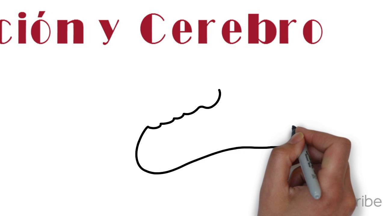acciones clave