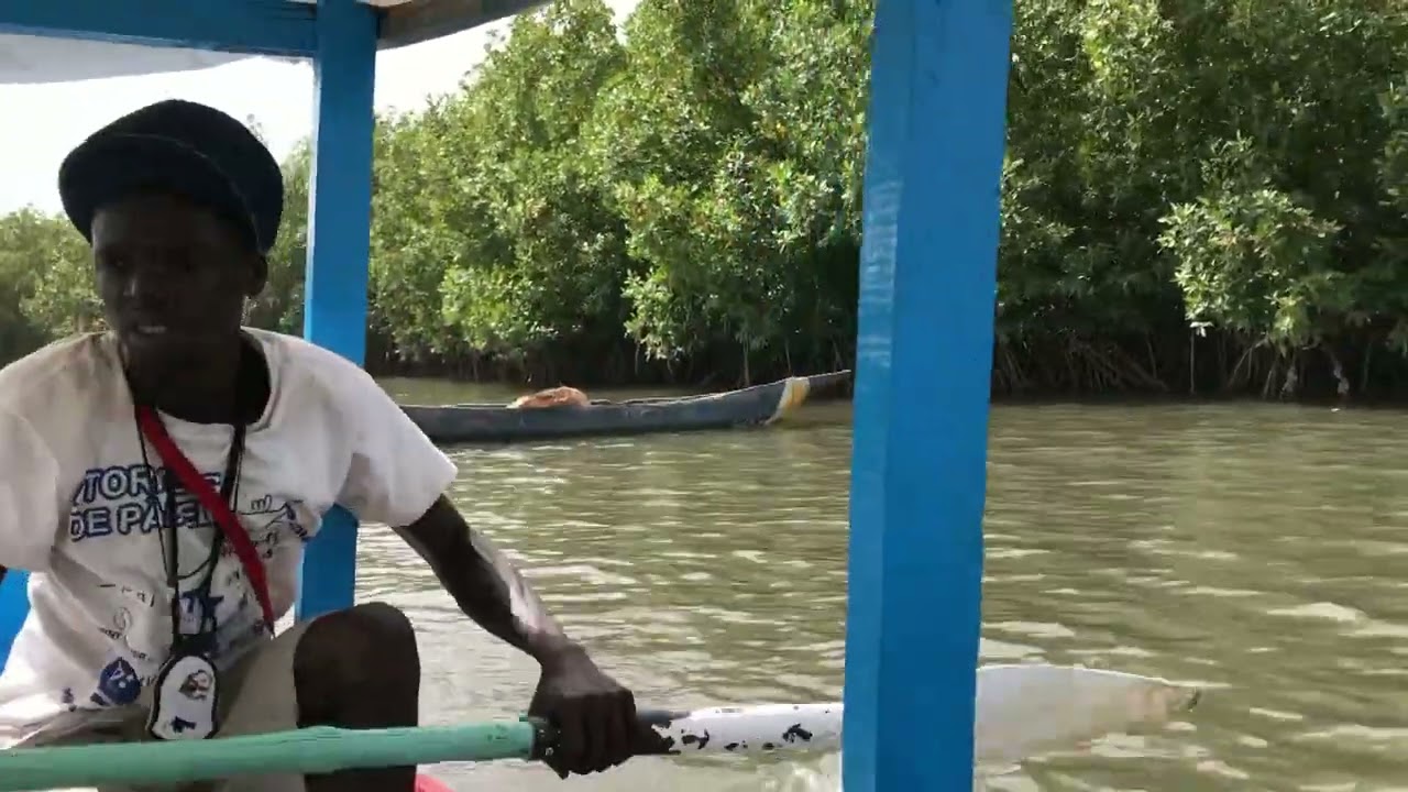 LAMIN LODGE   Gambia