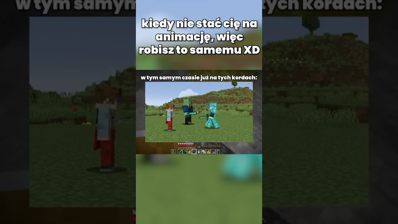 kiedy ANIMACJA była ZA DROGA, więc zrobiłeś to...