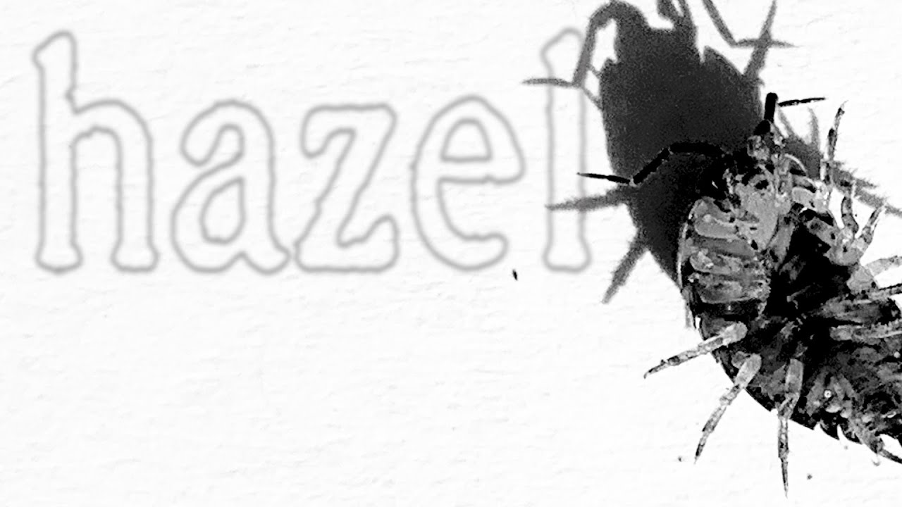 Ethan Rud- hazel