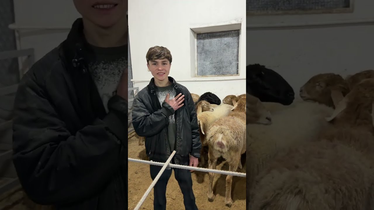 16 ёшли арашан ишқибози ва Зохиджон Хакимов 