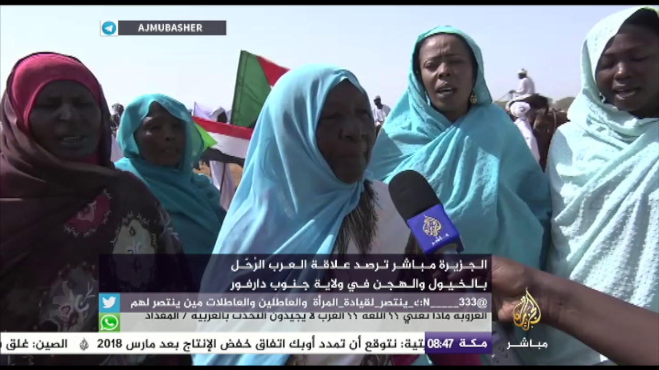 الخيل والهجن عند العرب الرحّل في ولاية دارفور بالسودان