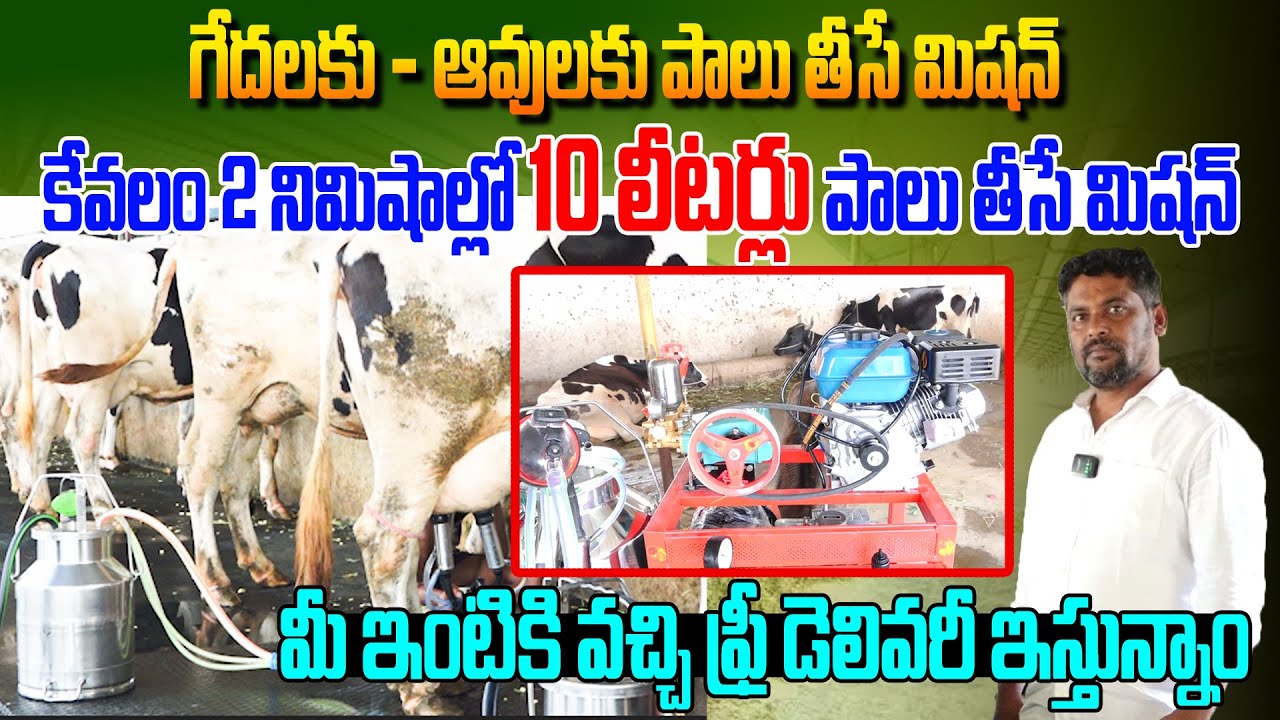 గేదలకు - ఆవులకు పాలు తీసే మిషన్... | Milking Machine For Buffalo Dairy Farm | Kiran TV Rythu