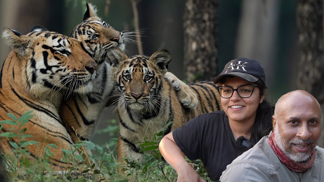 The Tiger Sighting I had always Dreamt Of | Sony ALPHA-1 4K | Pench Tiger Reserve ATR DAILY VLOG -46