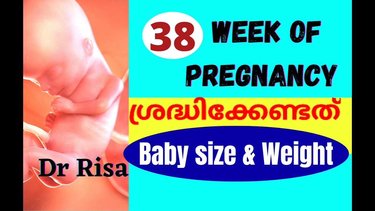 38 Week of Pregnancy Malayalm | 9 Month Pregnancy Care