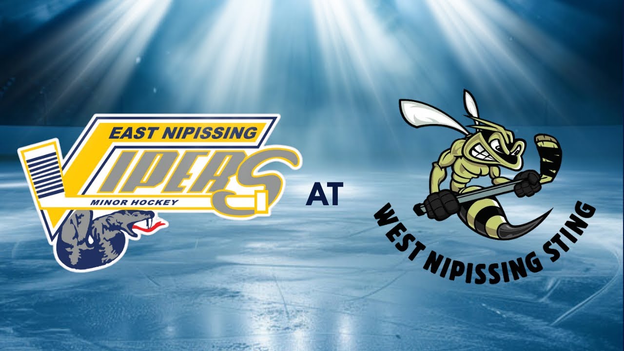Vipers Vs Sting Championship game Black and Gold Hawkey!