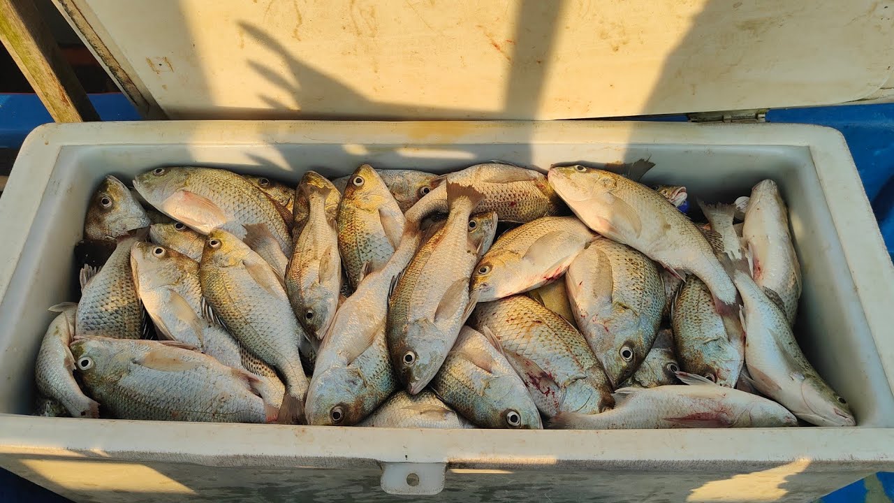 07/02/2025 JACKPOT at Sangkar Sungai Udang Penang