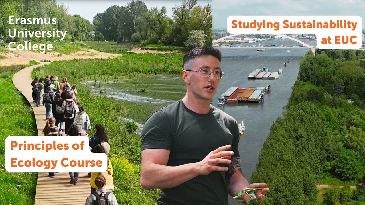 Principles of Ecology Course | Study Sustainability at Erasmus University College
