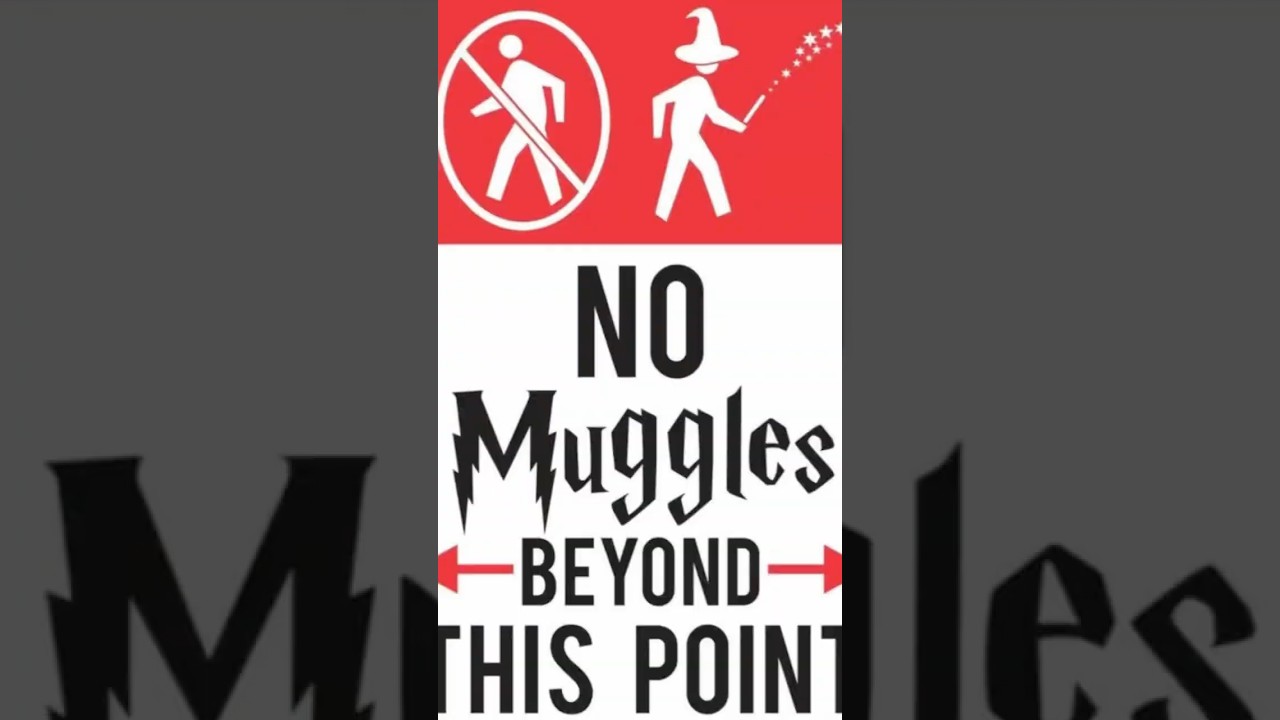 Come si &egrave; arrivati dalla parola &ldquo;Muggle&rdquo; a &ldquo;Babbano&rdquo;?Ve lo spiego subito #harrypotter #libri #cinema