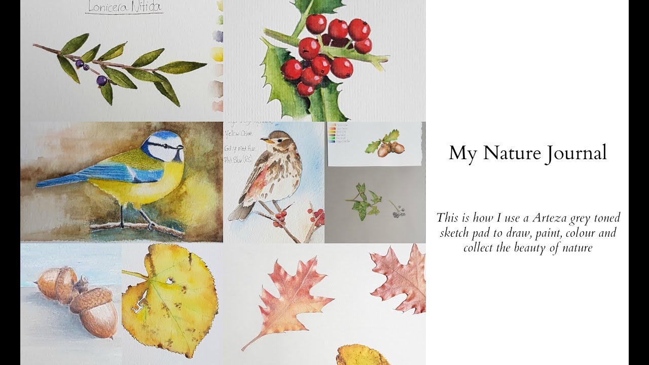 My nature journal - winter 2019/2020