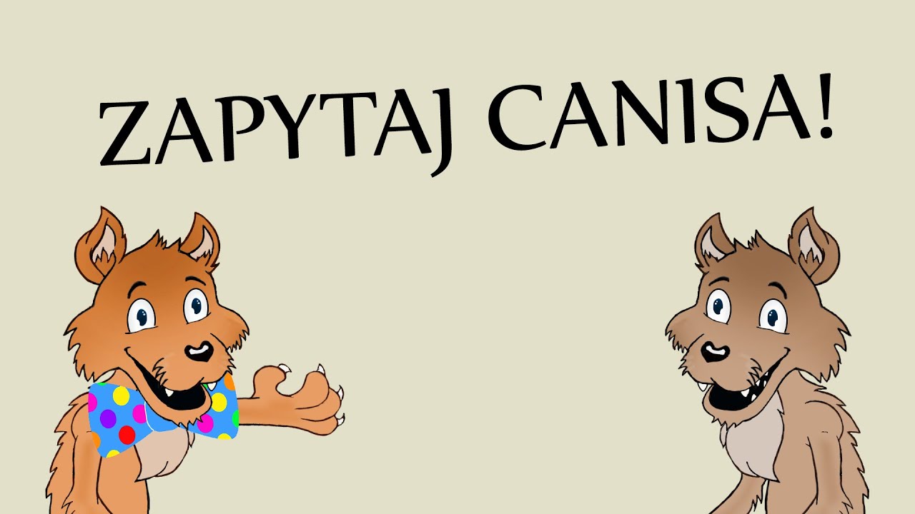 Q&A - Canis odpowiada na pytania!