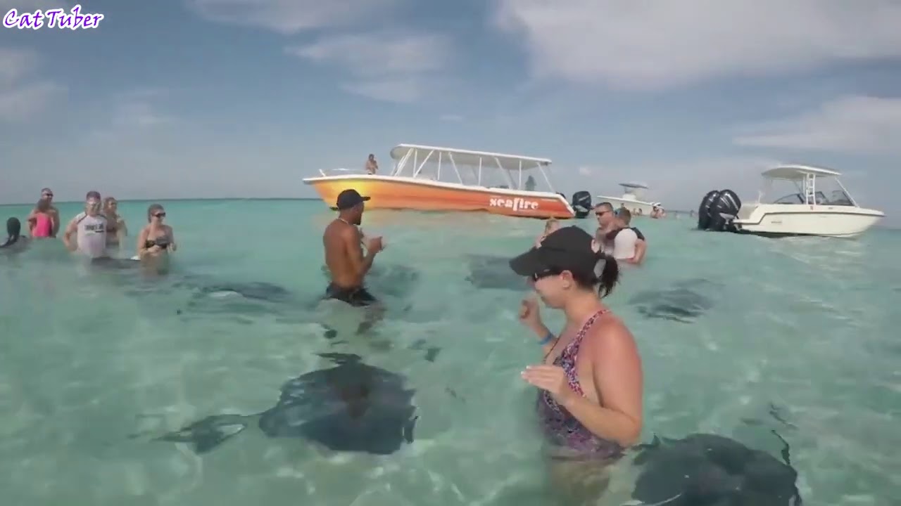 Smeh do suza !!----Funny videos!