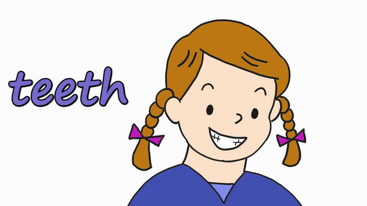 My Face | Talking Flashcards