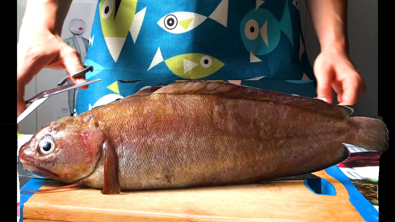 Como cortar Brotola Quitar la espina Maruca Cutting fish wearing a suit Cortar pescado f&aacute;cil