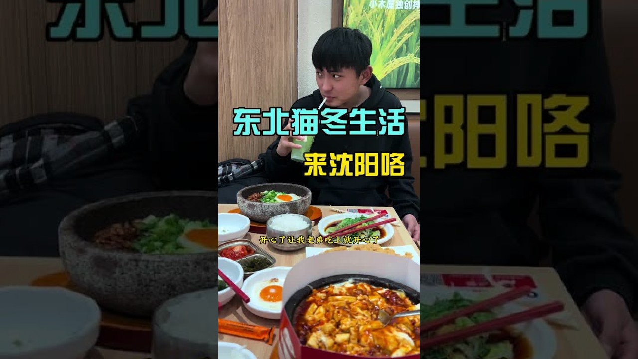 东北猫冬生活之今天跟弟弟去沈阳啦 #vlog十亿流量扶持计划 #农村生活 #青年创作者扶持计划